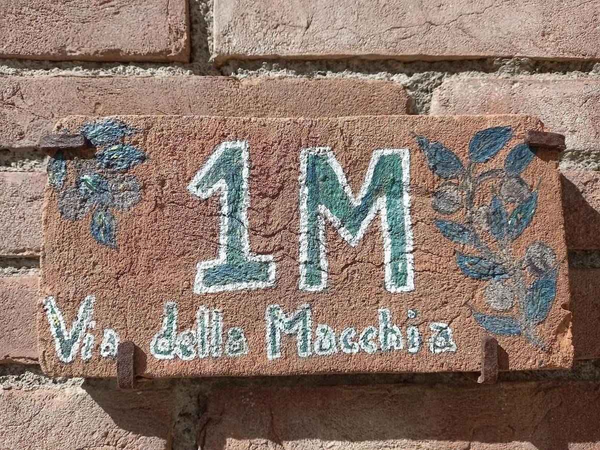 La Casina Di Campagna Tra Cecina E Bibbona Villa Cecina (Livorno)
