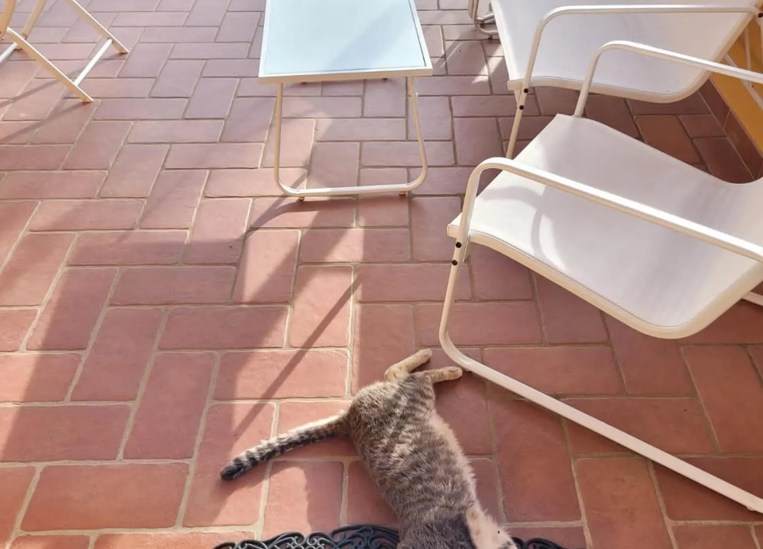 La Casina Di Campagna Tra Cecina E Bibbona Villa Holiday home